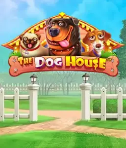 From Pragmatic Play comes The Dog House Slot, featuring a fun-filled adventure among lovable dogs. Discover features including free spins, designed for delivering entertaining gameplay. Ideal for animal enthusiasts an amusing atmosphere with a chance for big wins.