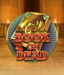 Enter the thrilling world of Book of Dead Slot by Play'n GO, showcasing vivid graphics of Rich Wilde’s adventurous journey through ancient Egyptian tombs and artifacts. Discover lost riches with exciting mechanics like free spins, expanding icons, and a gamble option. Ideal for adventure enthusiasts with a desire for thrilling discoveries.